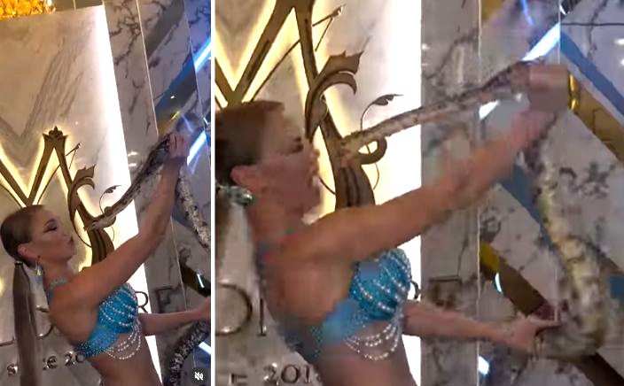 I Got Your Nose’: Russian dancer Dancer's Snake Stunt Ends in Bite in Viral Video