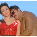 Top 5 Viral Bhojpuri Songs by Pawan Singh and Other Famous Singers