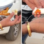 Man Tests Paneer in Bread Pakora, Claims It’s Fake – Viral Video Shocks Internet!