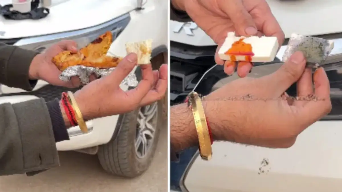 Man Tests Paneer in Bread Pakora, Claims It’s Fake – Viral Video Shocks Internet!